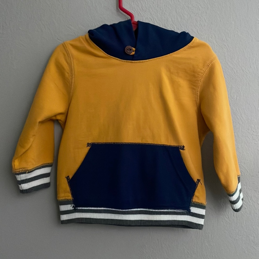 Baby Gap Pullover Hoodie